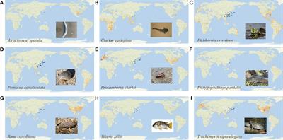 Research and prospects of environmental DNA (eDNA) for detection of invasive aquatic species in East Asia